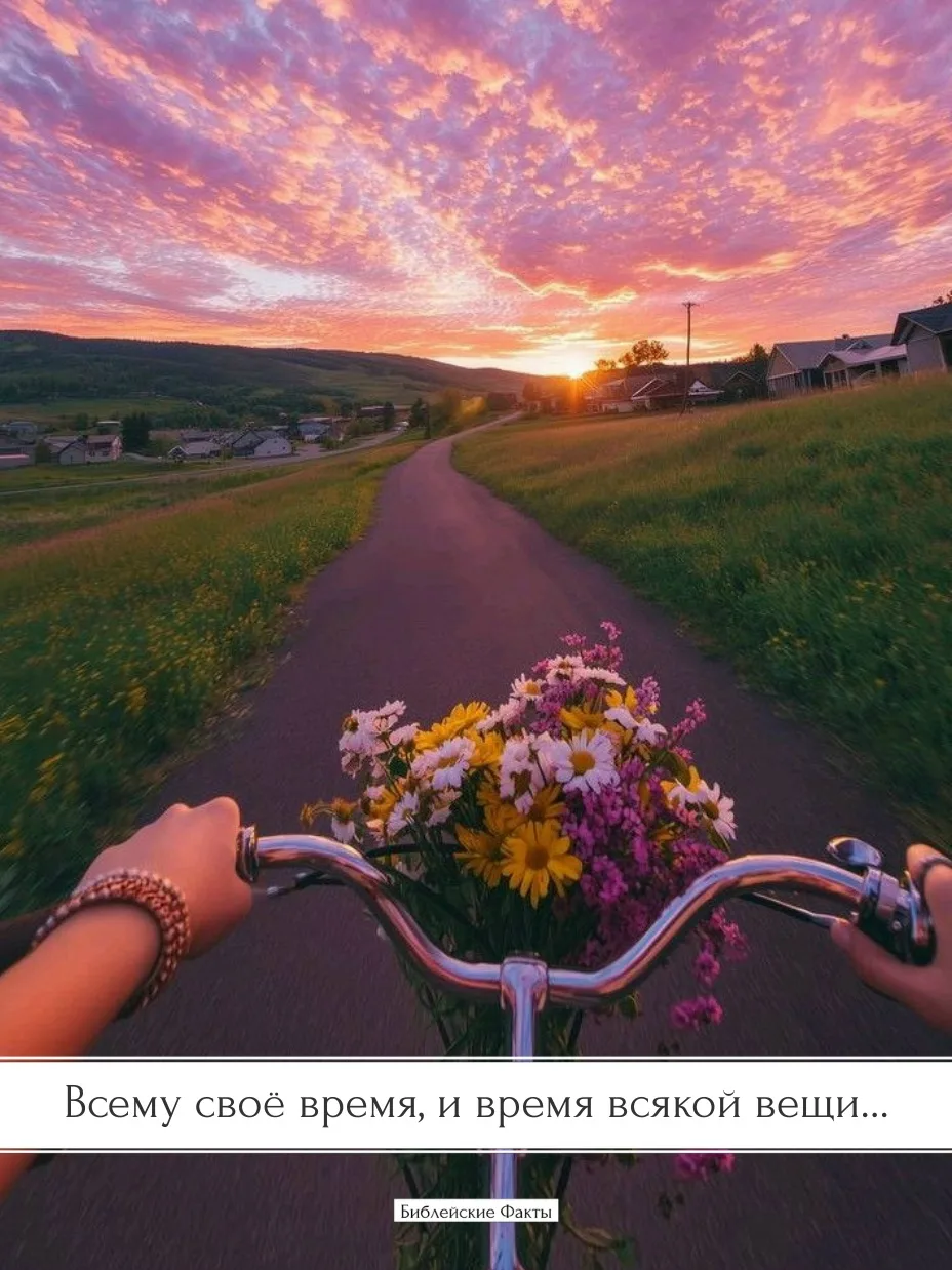 Не тряси зеленую яблоню — когда яблоко созреет, оно упадет само. Всё происходит так, ка...