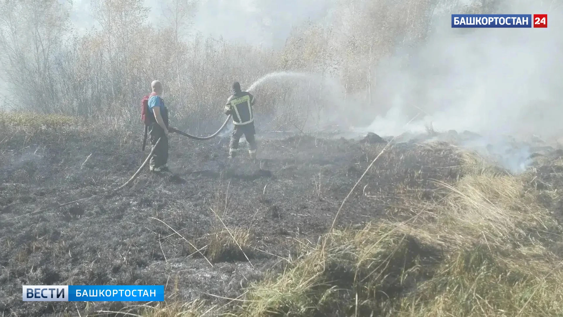 В Башкирии за сутки зарегистрирован один лесной пожар