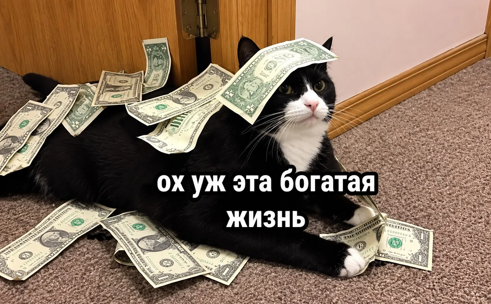 🤑 Магия цифр от налоговой: россияне резко стали богатыми