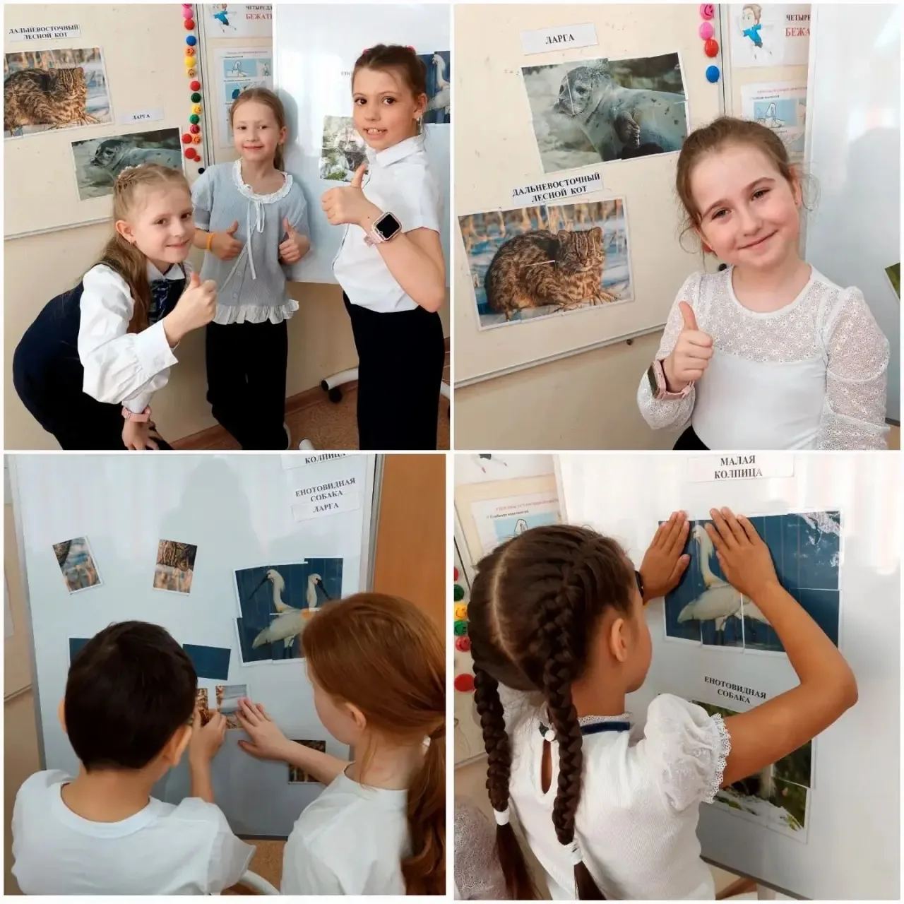 Учащиеся 1 «А» и 1 «Б» классов с большим интересом и энтузиазмом участвуют в экопросветительском про
