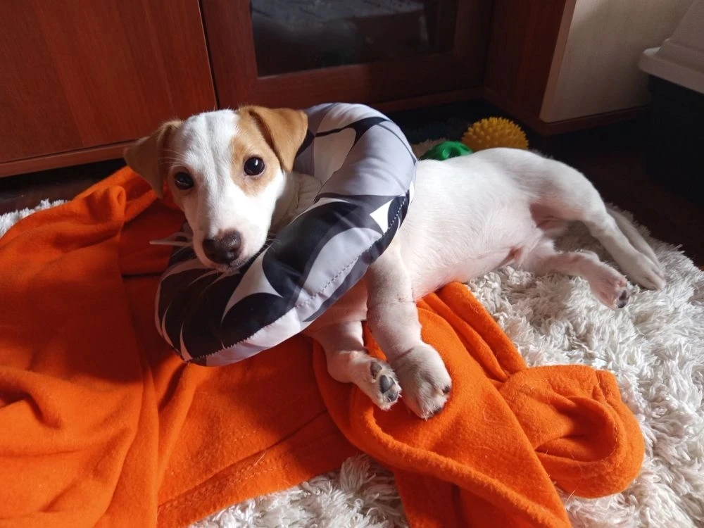 Привет всем от карапуза 😍