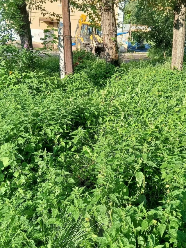 Приехал к другу, шашлыки пожарить около гаражей, отдохнуть, припарковаться негде, во дв...