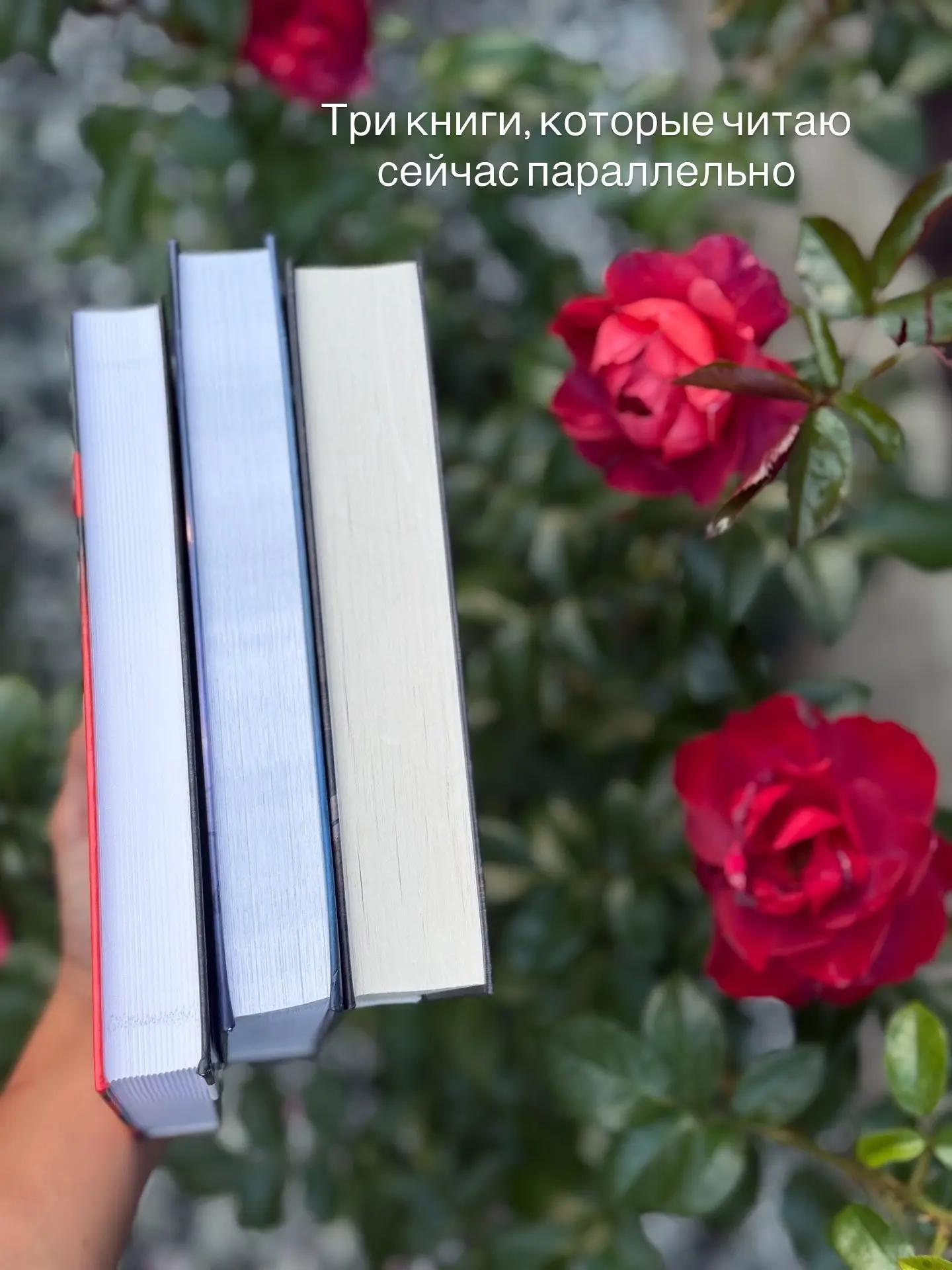 Читаю три книги одновременно!

▫️ «Казино любви» Ольга Алексеева

В этой книге личная драма автора, 