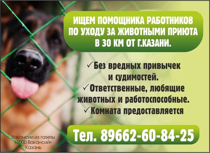 📲 89662608425

1000 Вакансий Казань 📰📰📰
#казань #подработка
