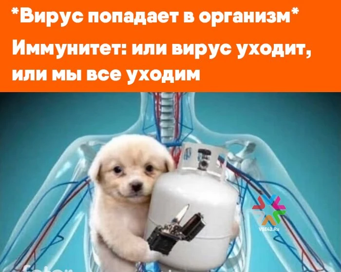Вирусы ударили по здоровью тысяч кузбассовцев за неделю