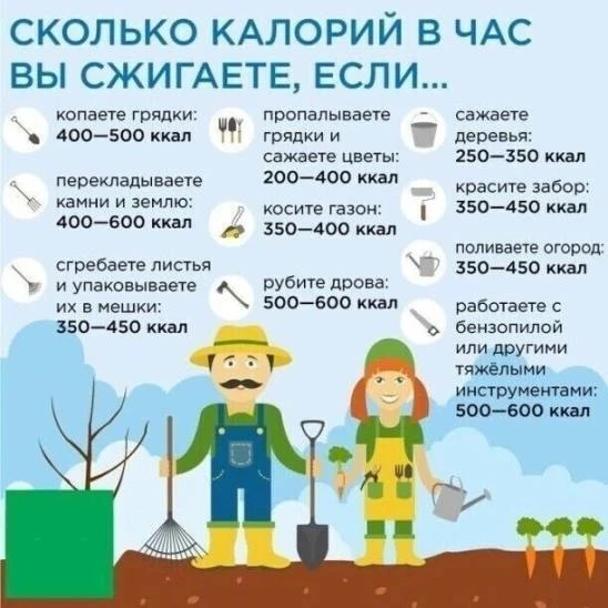 Немного статистики 😉

Дача|Вдохновение