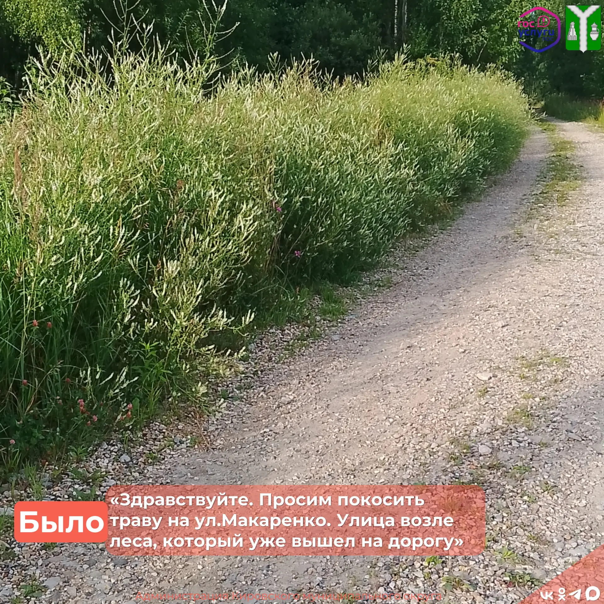Через Платформу обратной связи мы получили обращение о чрезмерном зарастании обочин по ул.Макаренко.