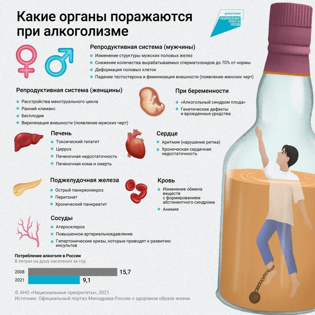 🤔Как влияет алкоголь на наш организм?