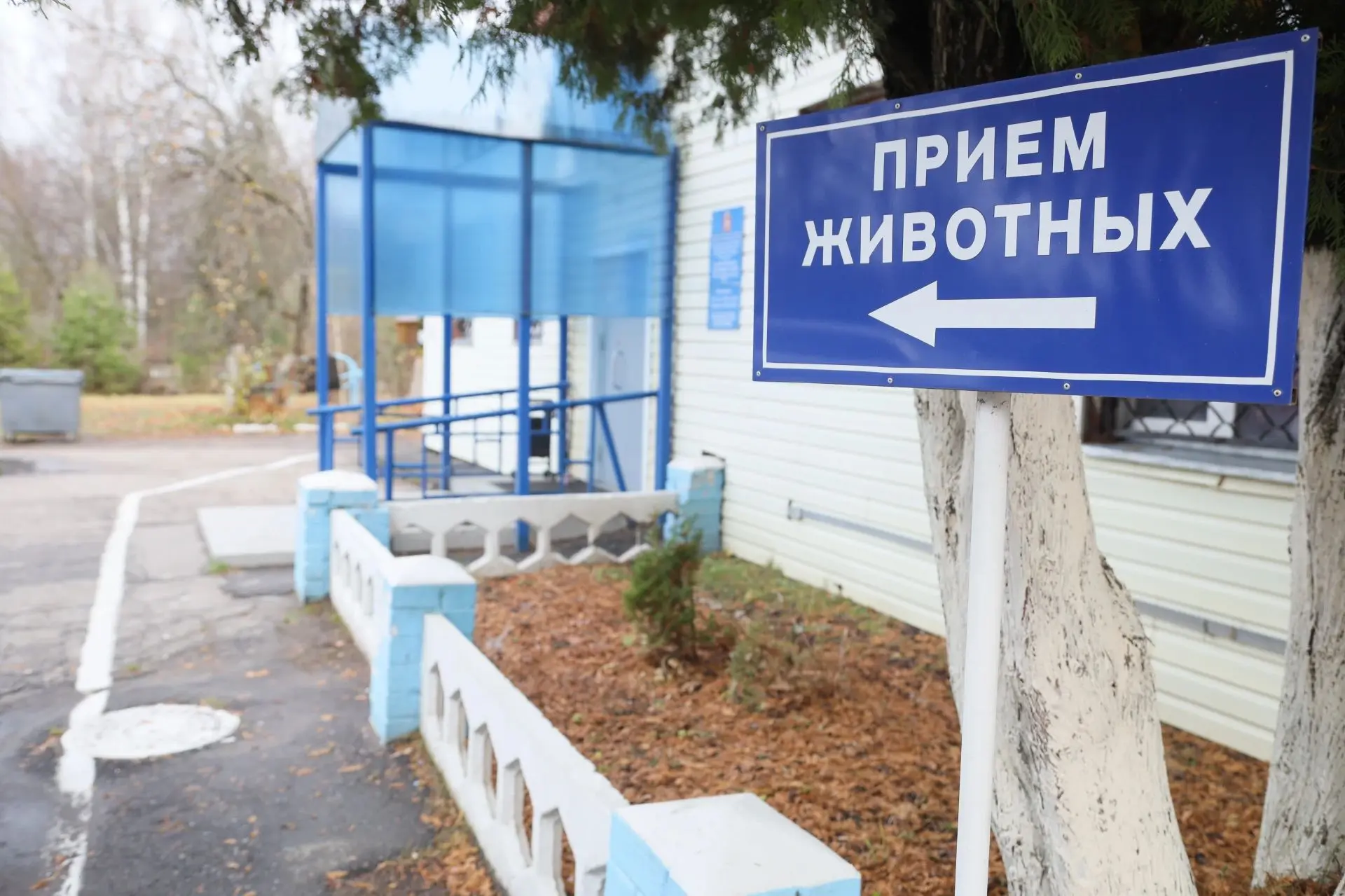 Чипирование питомцев: льготные условия действуют до конца года