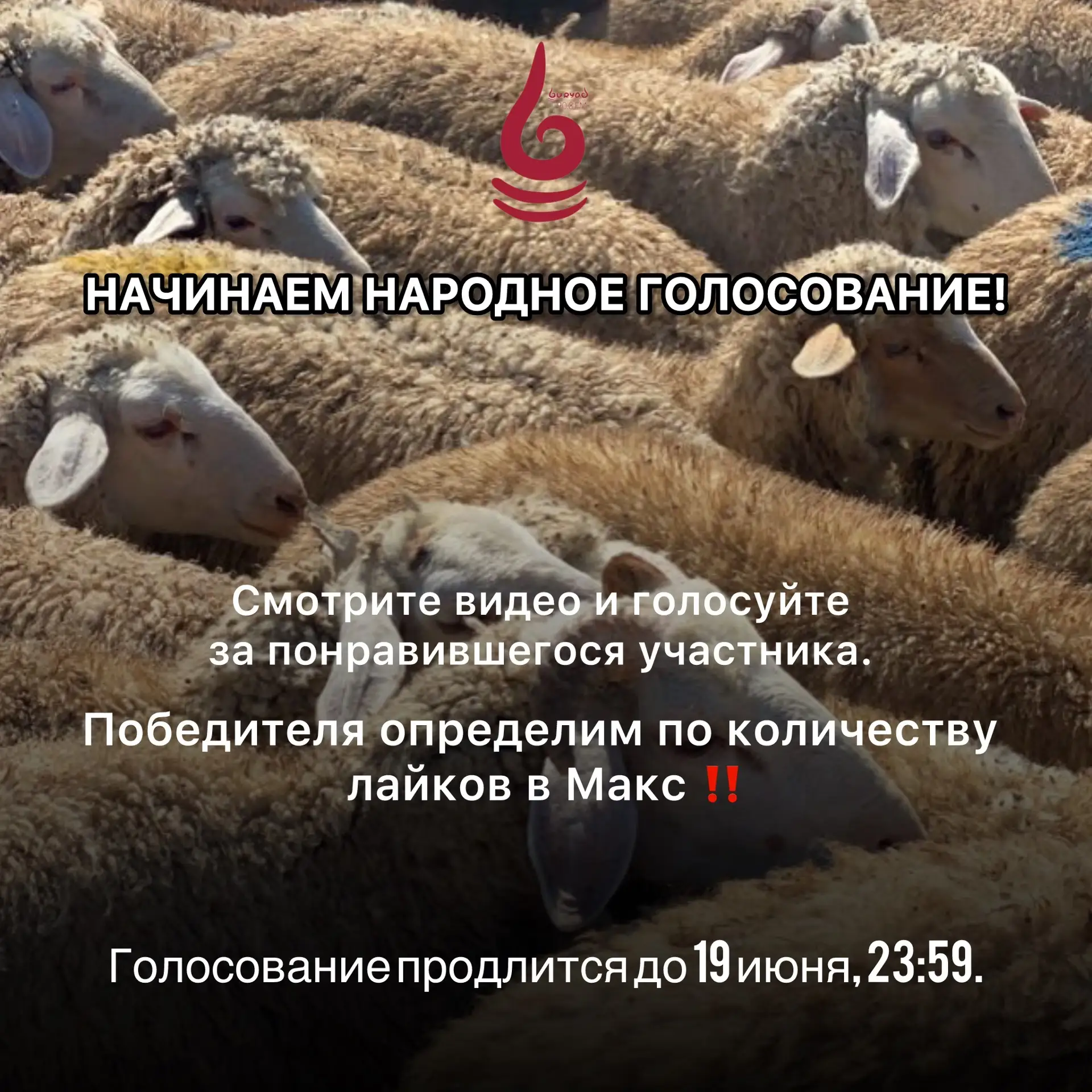 НАЧИНАЕМ НАРОДНОЕ ГОЛОСОВАНИЕ!