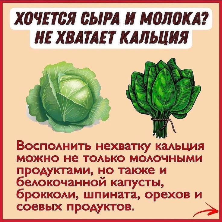 Безумно хочется сыра или молока? Вам не хватает кальция! 🧀🥛

Наше тело общается с нами через внеза
