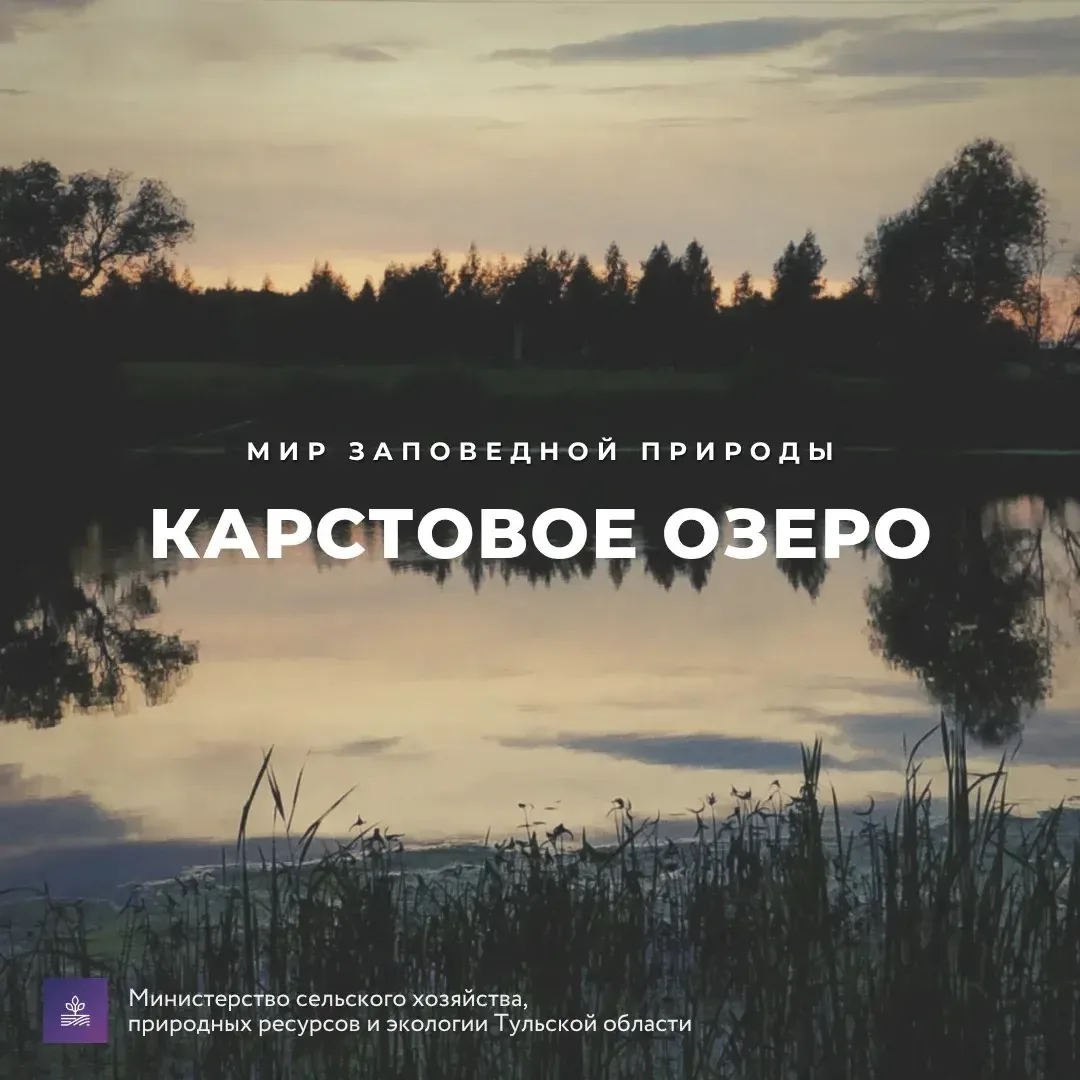 #Красотародногокрая