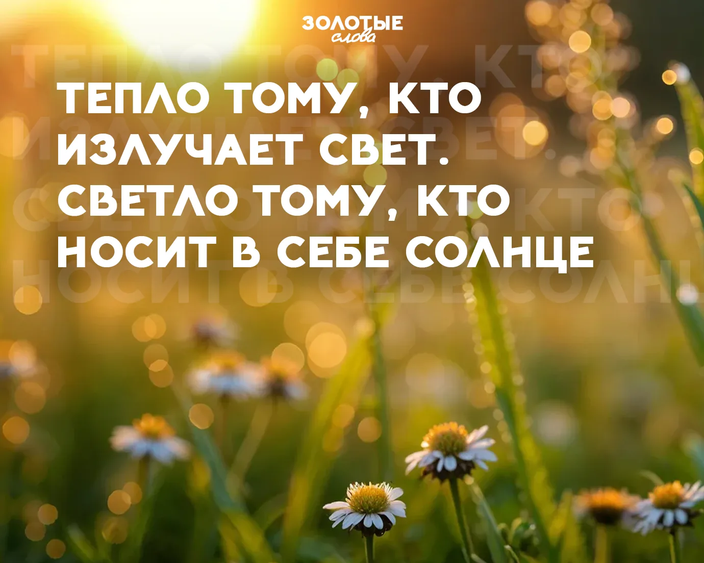Золотые слова 📜