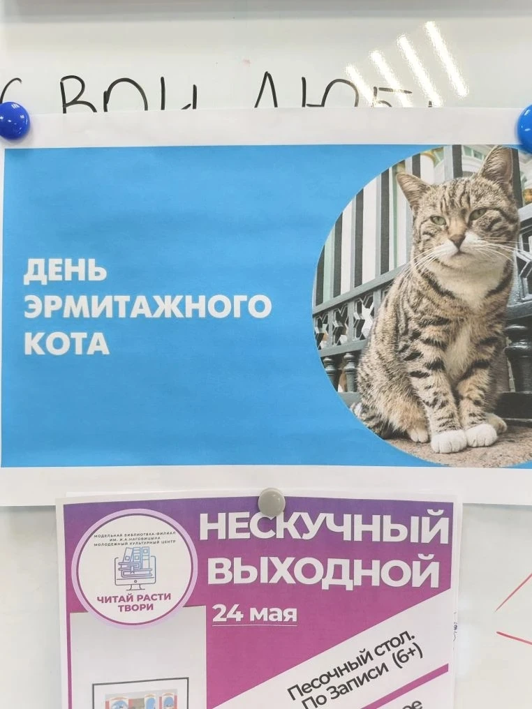 🐾 День Эрмитажного кота в библиотеке! 🐾