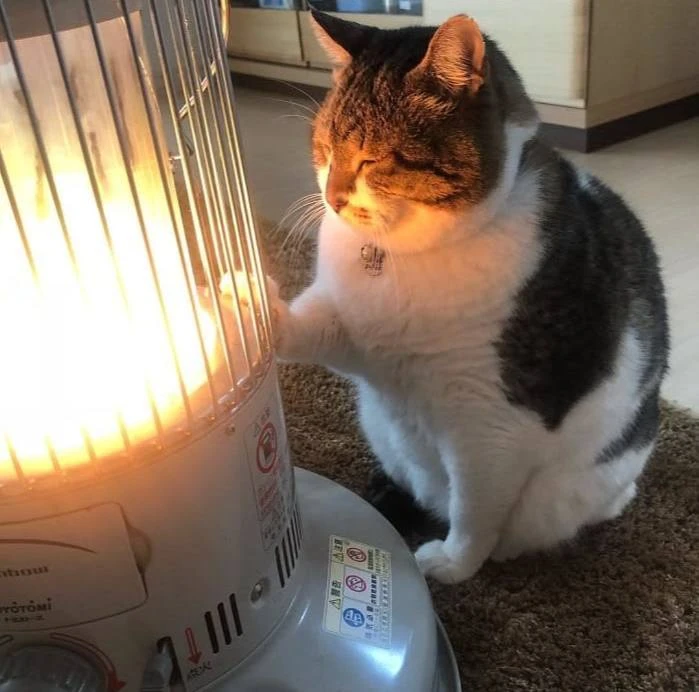 🥶 Прошедшая ночь стала самой холодной с начала сентября в Петербурге, — синоптик Михаи...