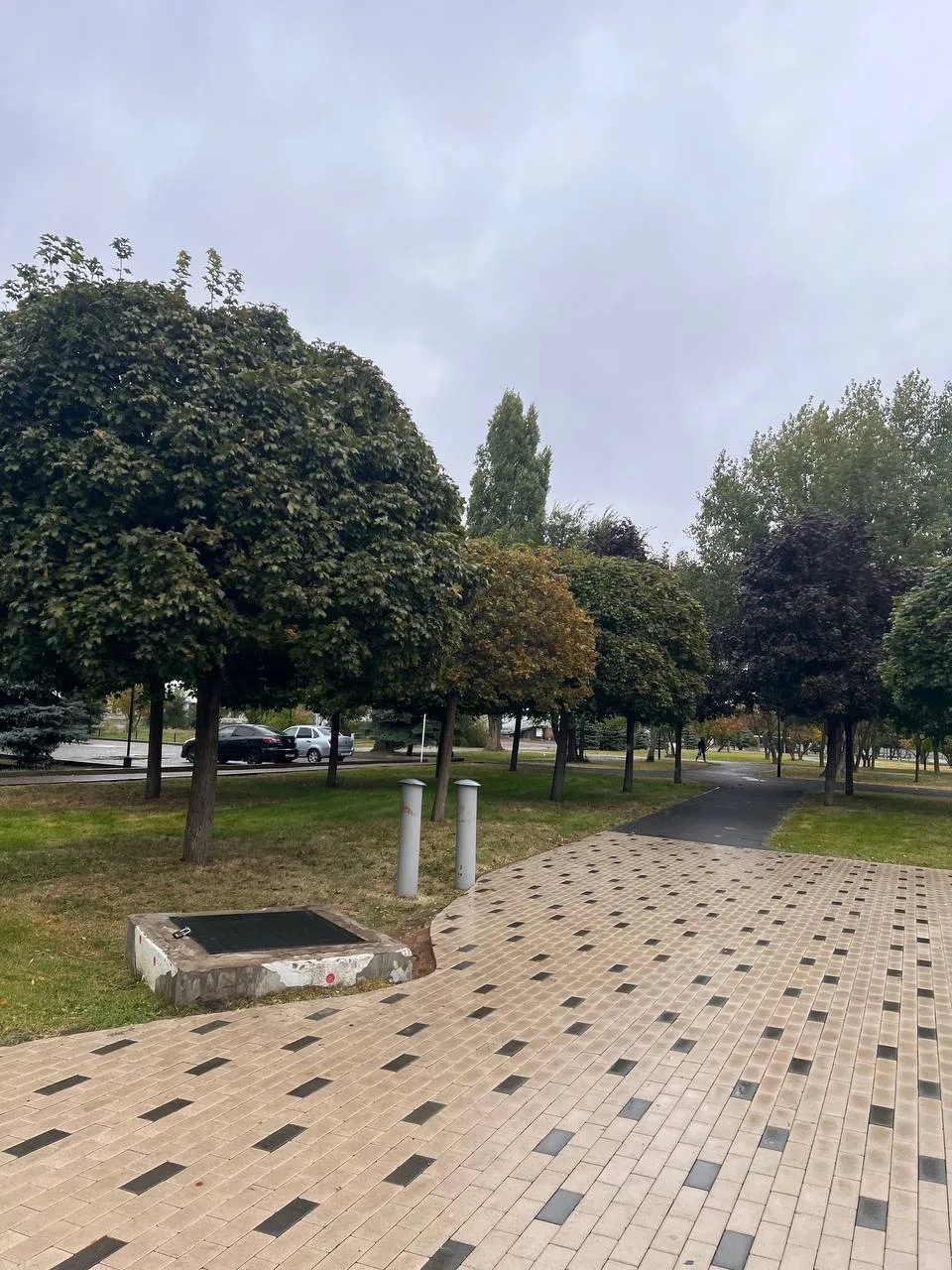 🌳 Уголок аллеи с самыми красивыми деревьями