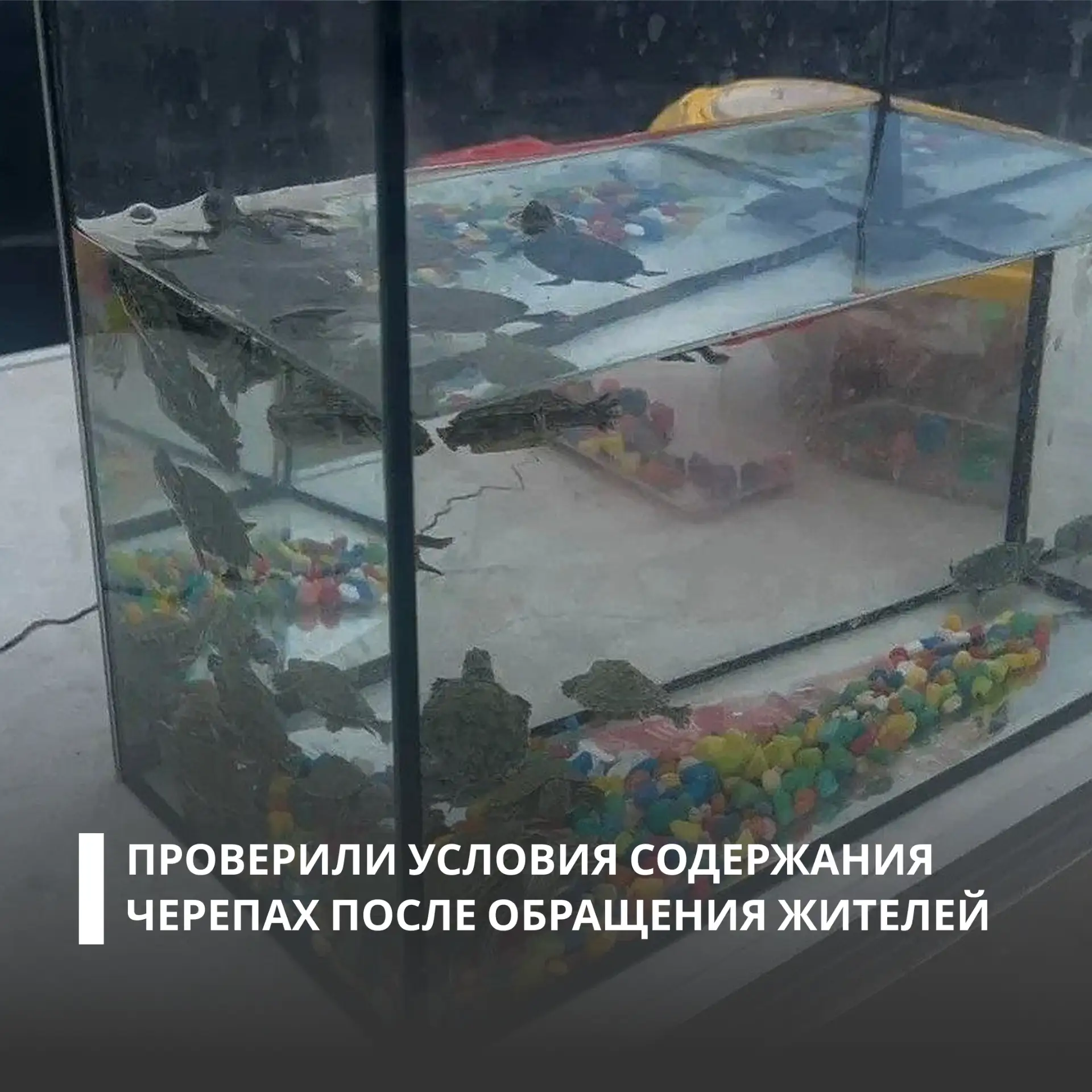 Росприроднадзор провел выездное контрольное мероприятие  после сообщений о продаже крас...