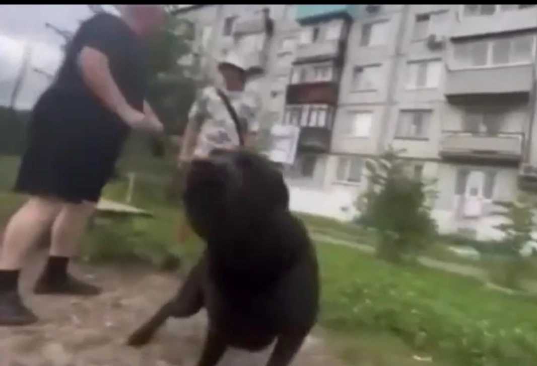 Уважаемые жители Фокино!