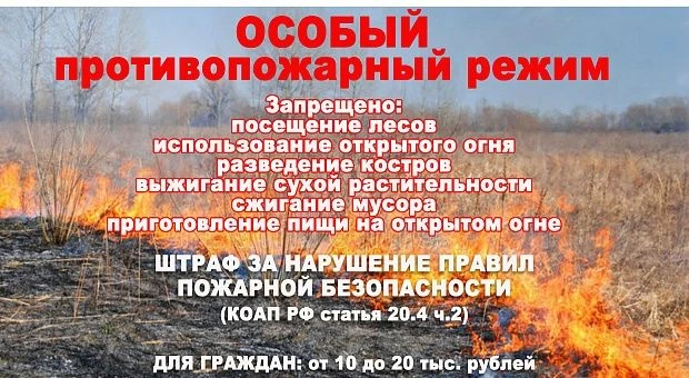 До 1 июня 2026 года в Кузбассе действует особый противопожарный режим.