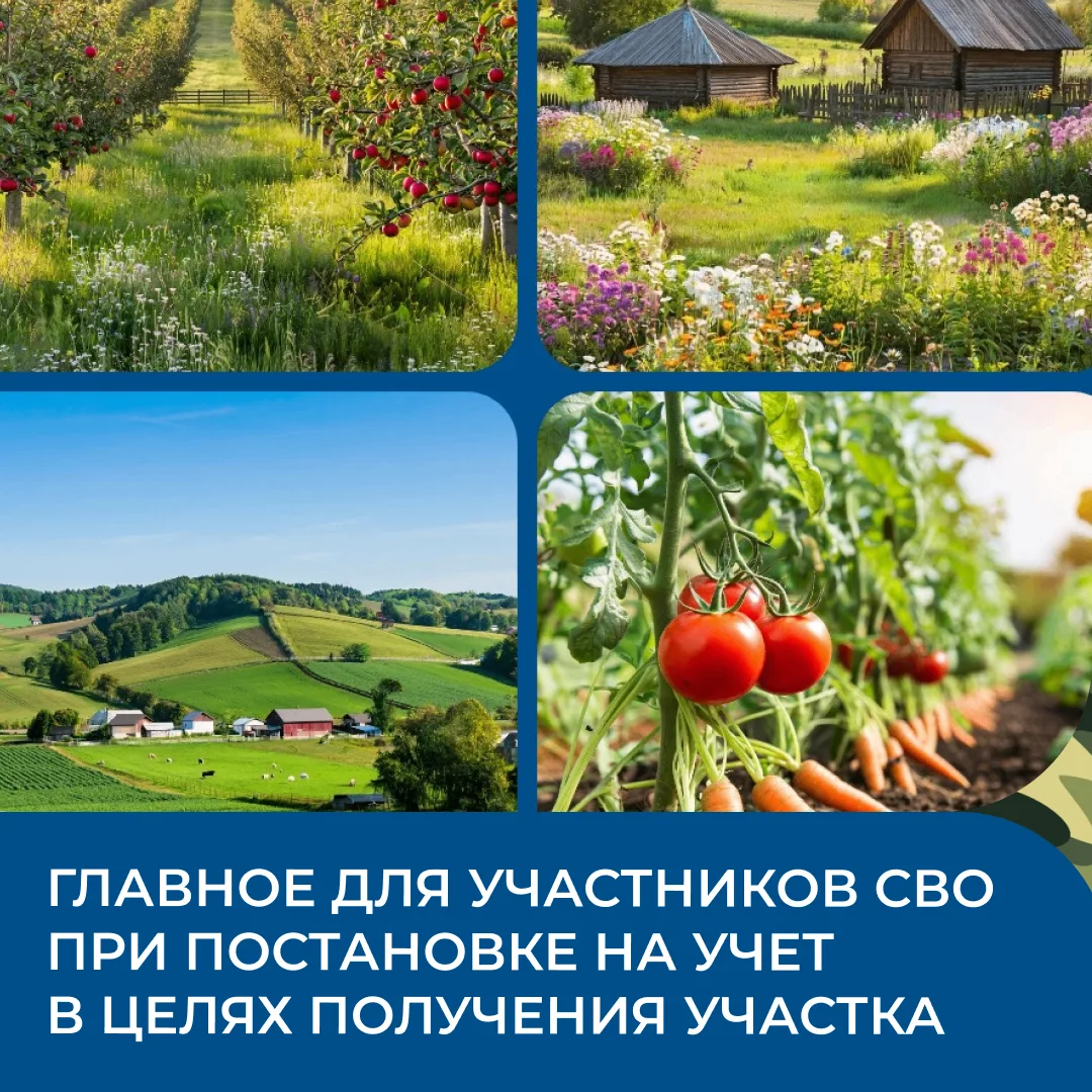 👋 Продолжаем еженедельную рубрику с разъяснениями о мерах поддержки участников СВО и ч...