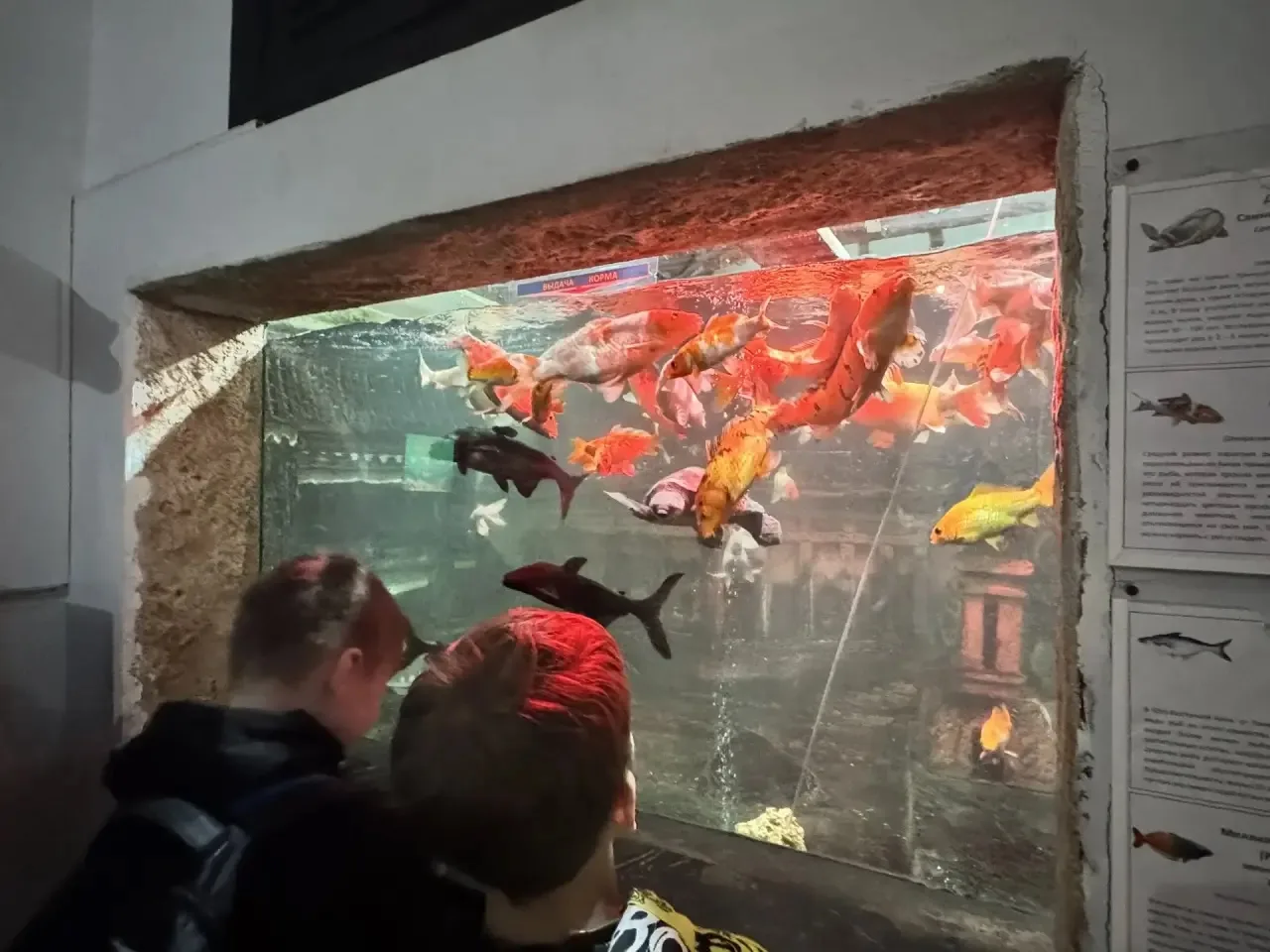 🦑 Путешествие в подводный мир: 5‑В класс в Севастопольском аквариуме! 🐠