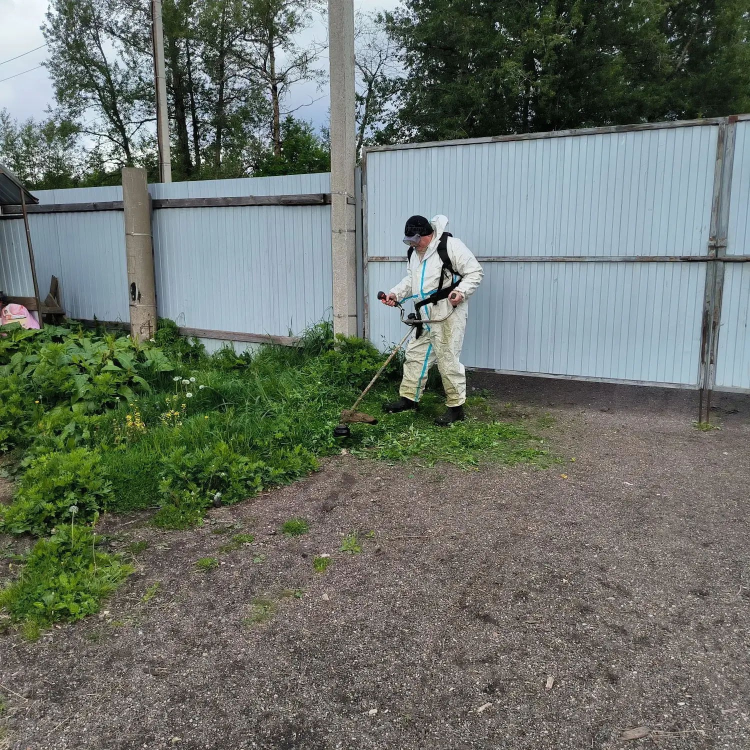 Специалисты Валдайской райветстанции приняли участие в субботнике на территории приюта ...
