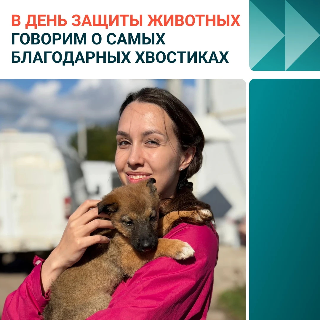 Наши коллеги приезжают сюда регулярно. Иногда поодиночке, иногда целыми семьями. Здесь ...