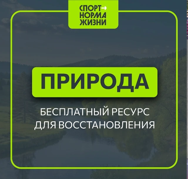 🌳 «Здоровый образ жизни»: природа — бесплатный ресурс для восстановления