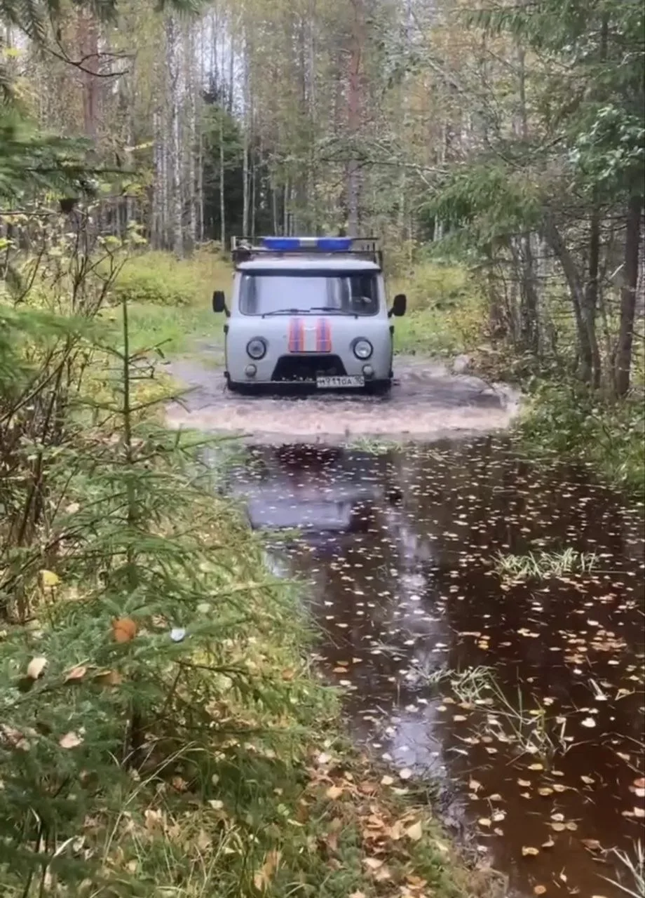 👨‍🚒🌲Спасатели помогли двум мужчинам, попавшим в беду в лесу Карелии. Позавчера в Кар...