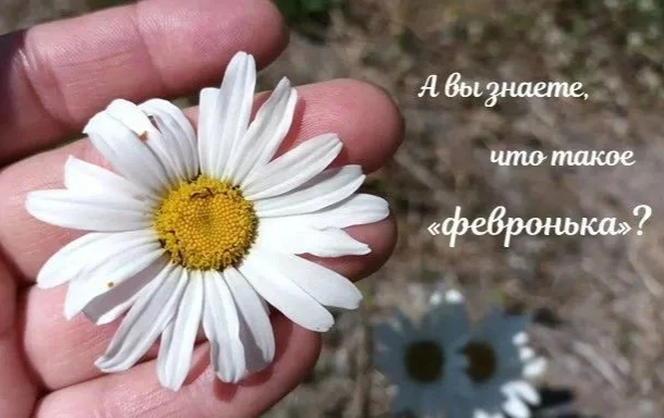 ❓❓❓  Знаете ли вы что такое "ФЕВРОНЬКА"?
