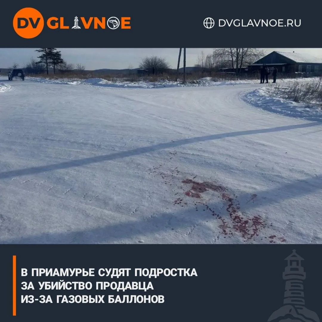Задушил, избил и зарезал

В Амурской области передано в суд дело 15-летнего подростка, обвиняемого в