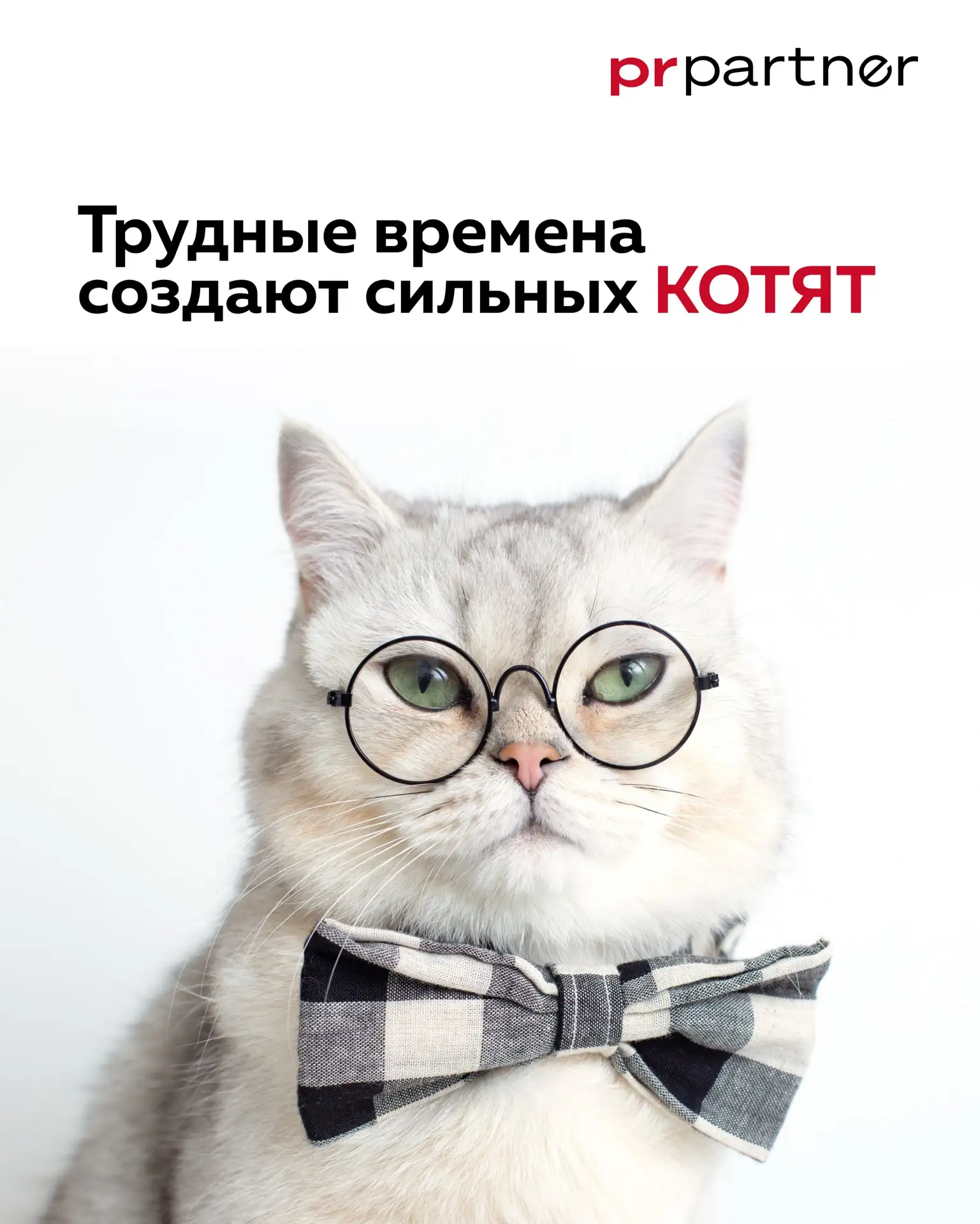 PR Partner поздравляет с Днём предпринимательства! ❤️