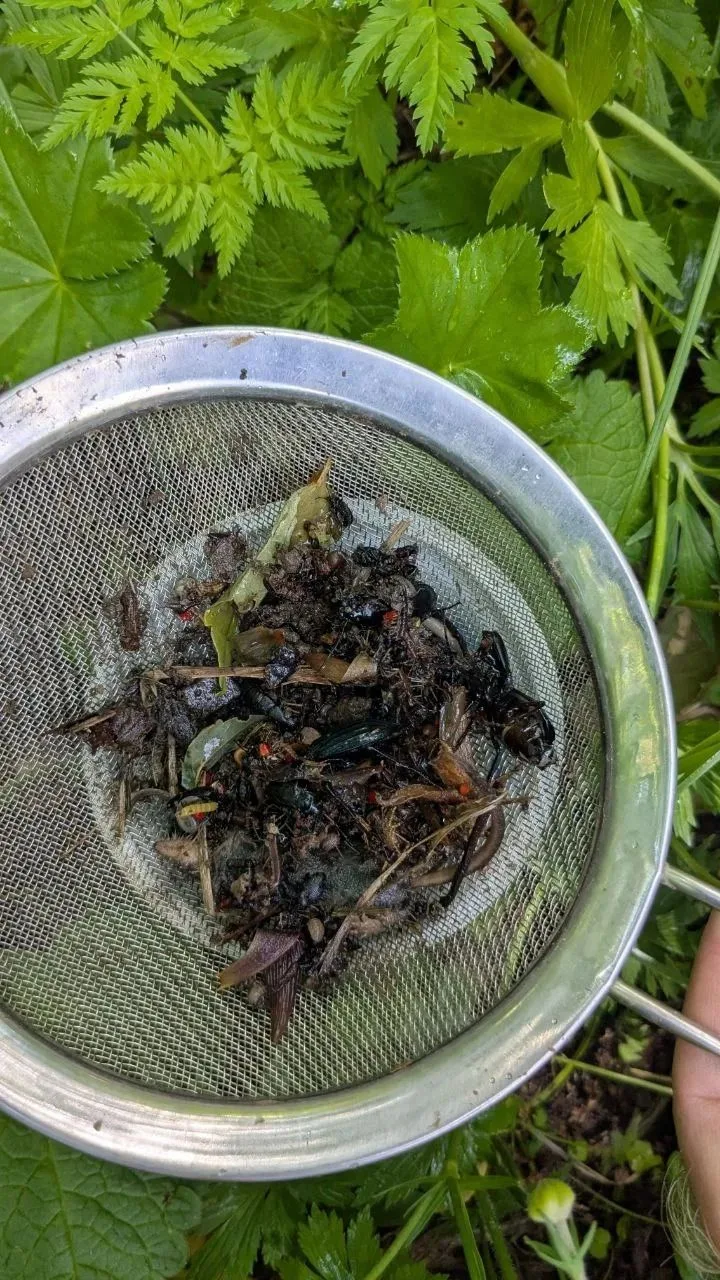 🕷 В журнале «Наука Юга России» опубликованы очередные результаты исследования распределения герпето
