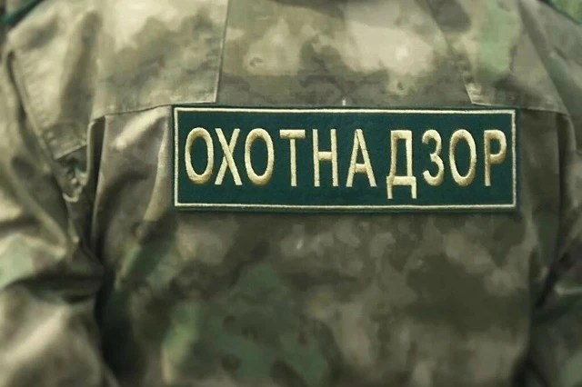 ⚡️В связи с участившимися случаями выхода медведей к населённым пунктам охотнадзор откр...