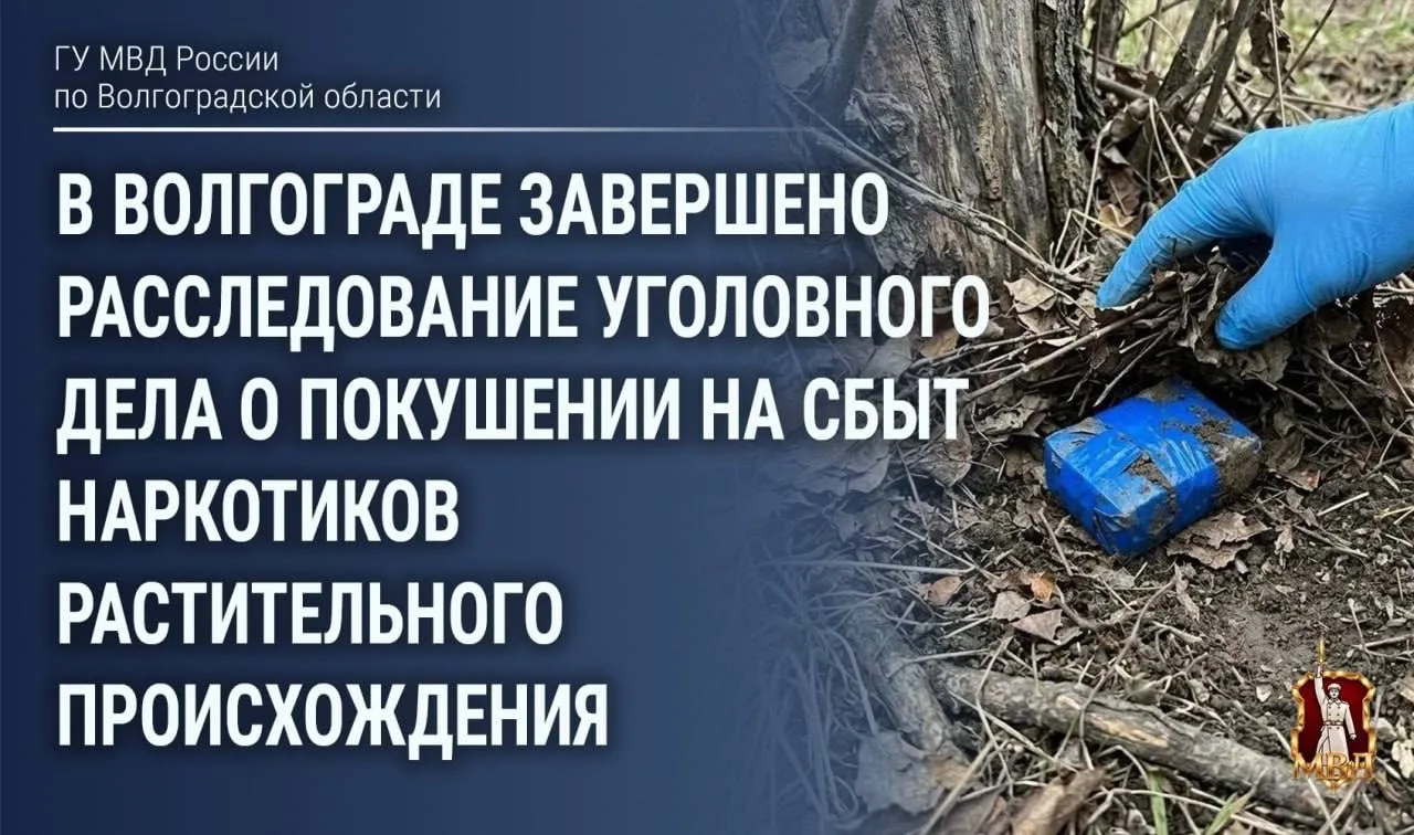 Житель Волжского оказался фигурантом уголовного дела после предложения о «подработке ку...