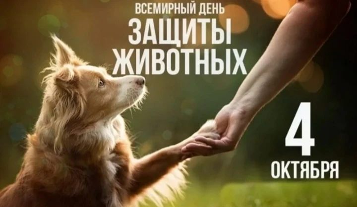 🐨🐯🐼В преддверии Международного дня защиты животных предлагаем поучаствовать в онлайн...