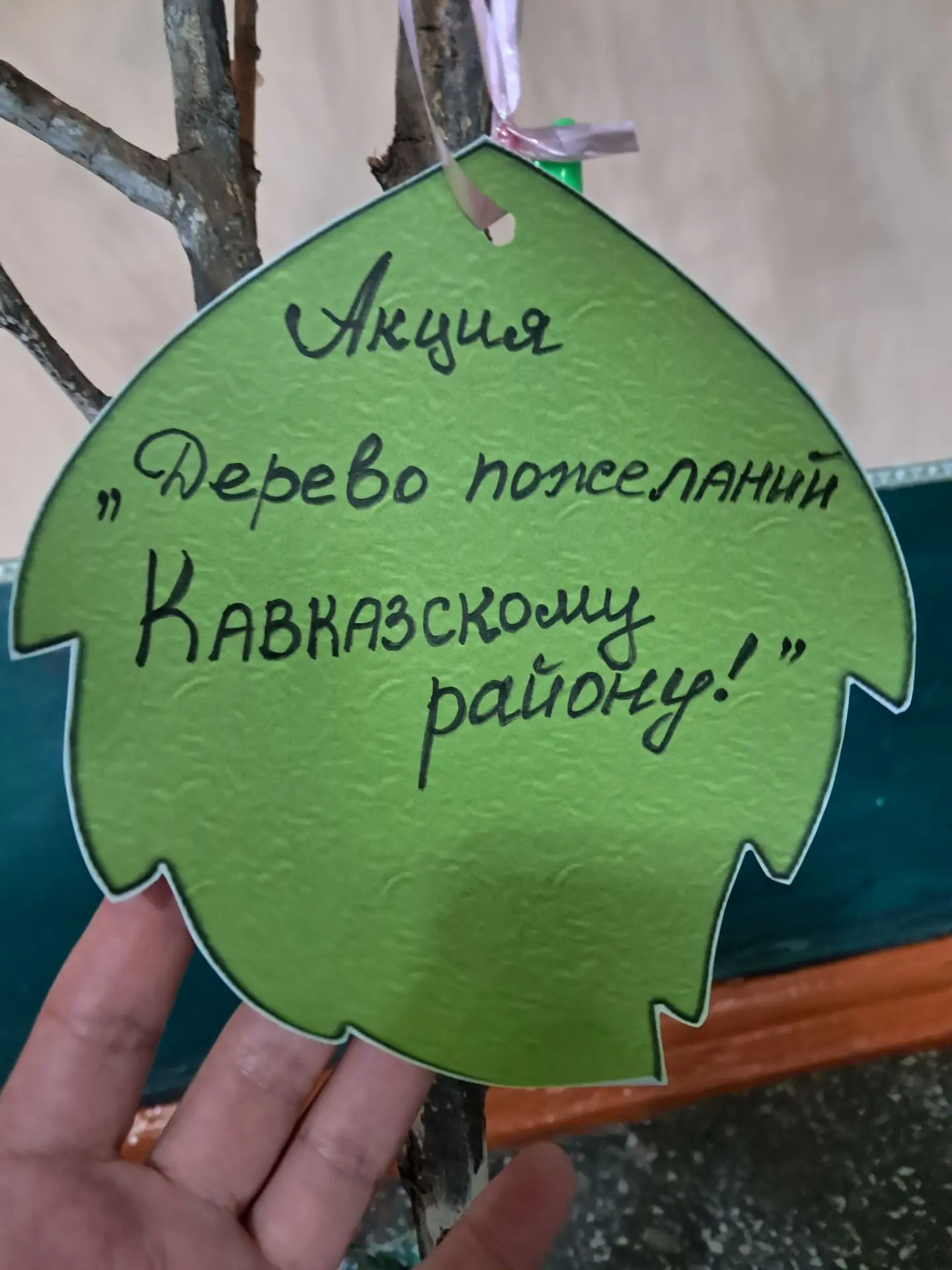 🌳 СЕРДЕЧНЫЕ ПОЖЕЛАНИЯ ЛЮБИМОМУ КАВКАЗСКОМУ РАЙОНУ ✨❤️