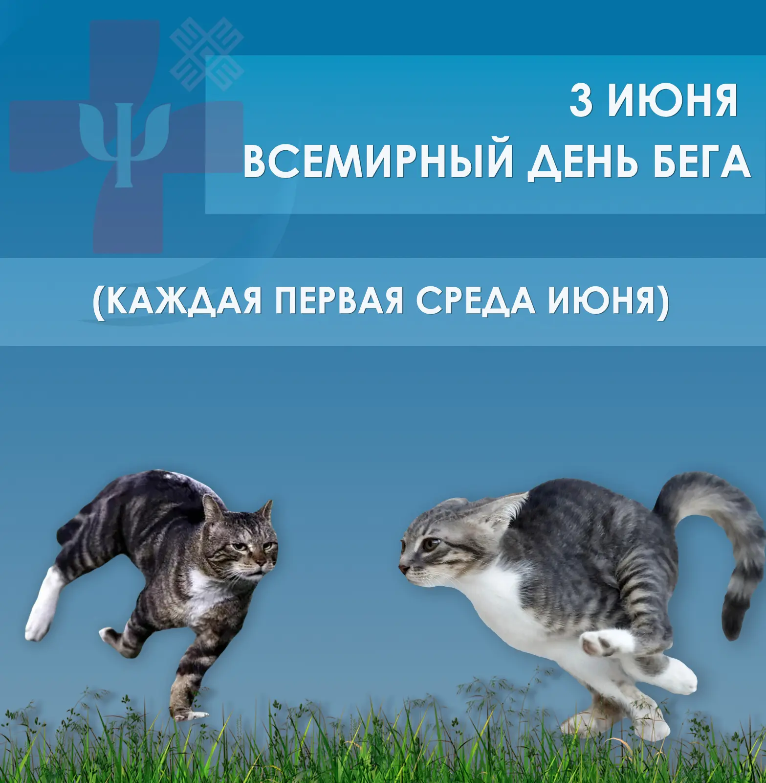 Сегодня Всемирный день БЕГА!🏃‍♀️💪