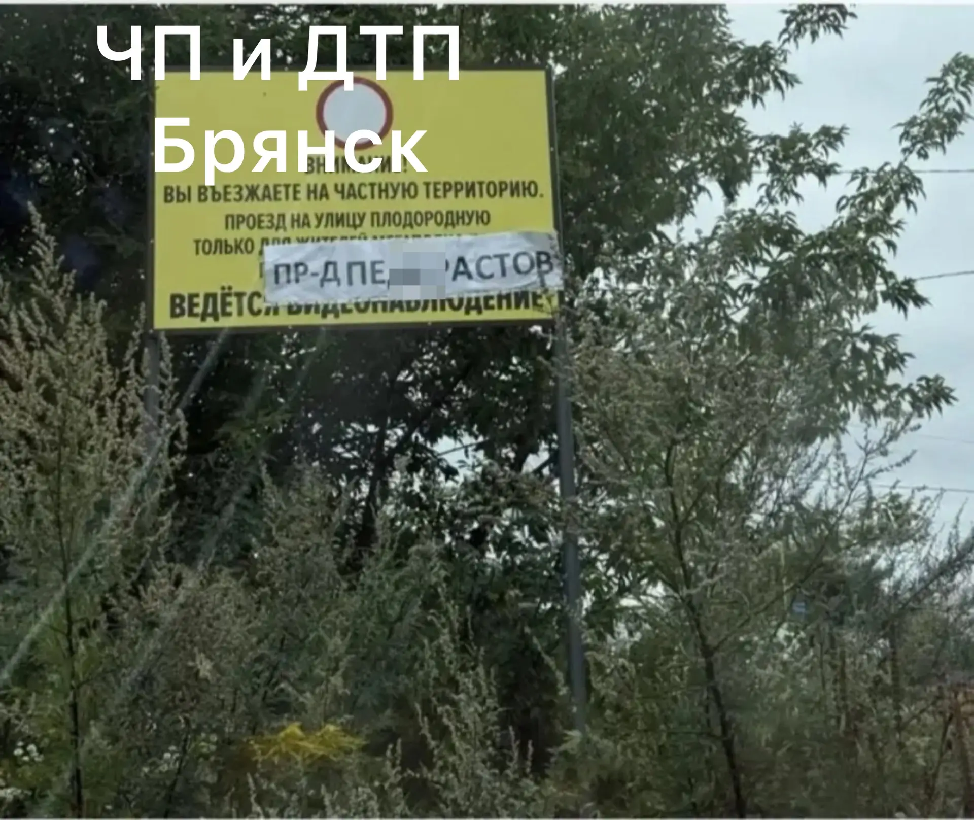 В Брянске появился новый проспект или новые проделки улицы Плодородной? 😬