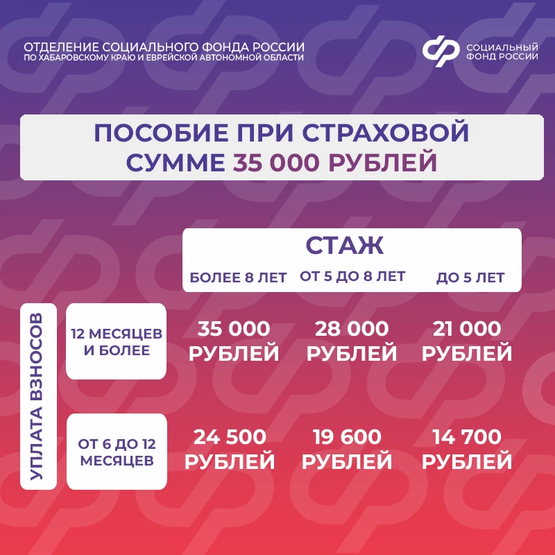 ✅ Самозанятые смогут получать выплаты по больничным листам  С 2026 года в Хабаровском крае и Еврейск