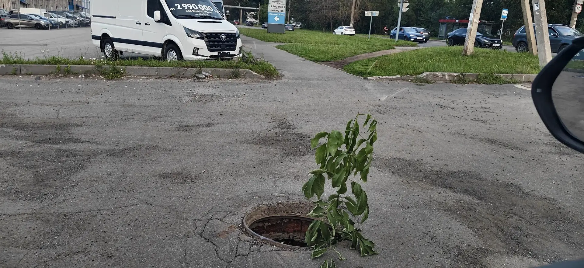 🌳 Около Монетки на ул Шевченко посадили дерево, Ижевск цветёт.
