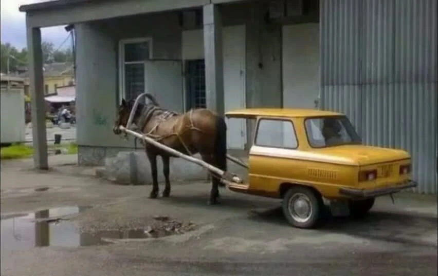 Россиянам нужно пересаживаться с автомобилей на лошадей из-за дефицита бензина, заявил ...