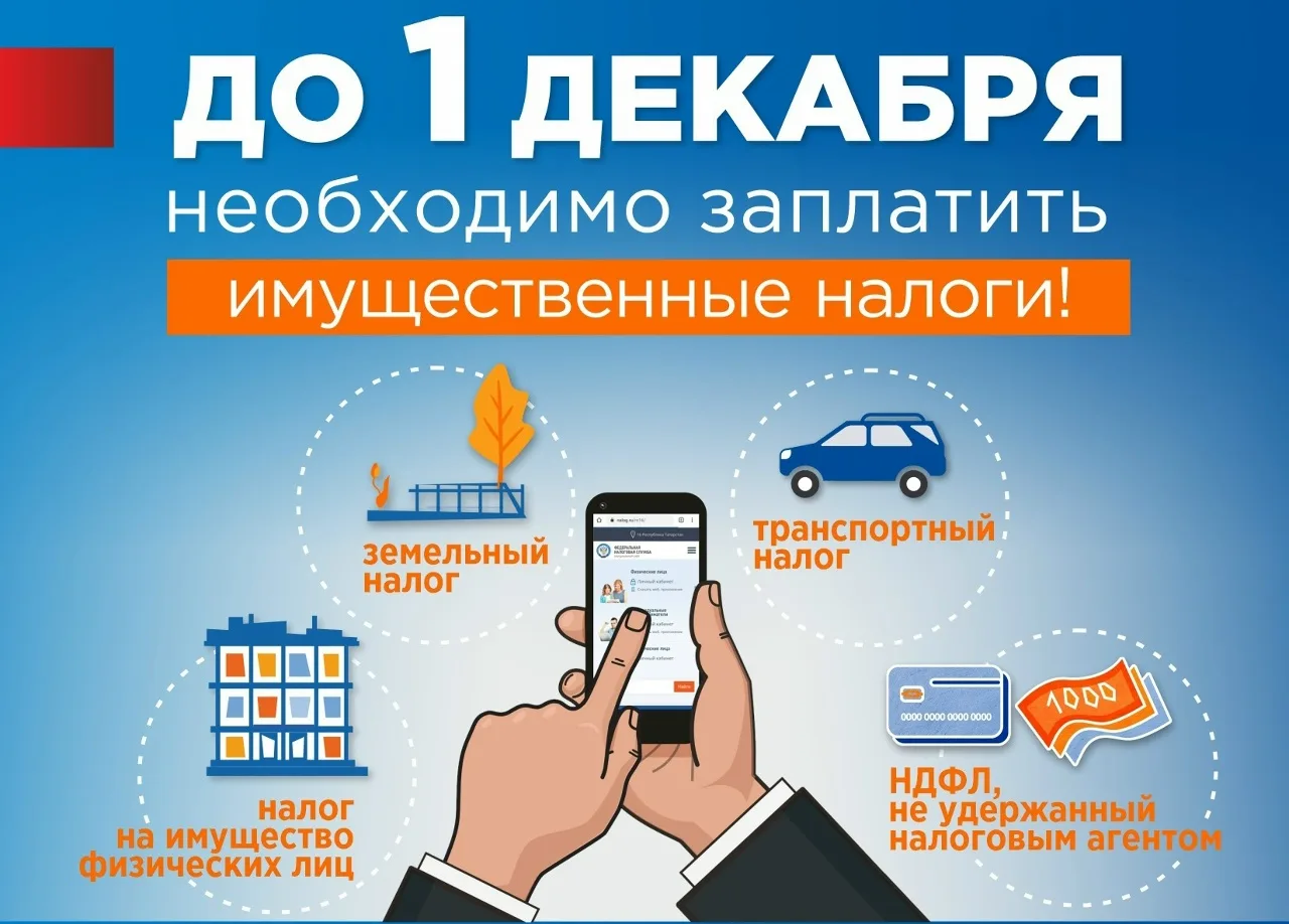 Срок уплаты налогов - 1 декабря!