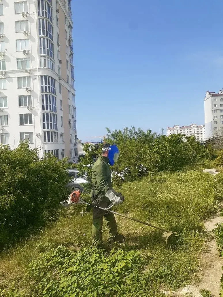 🌿✅Зелёный вызов принят!
