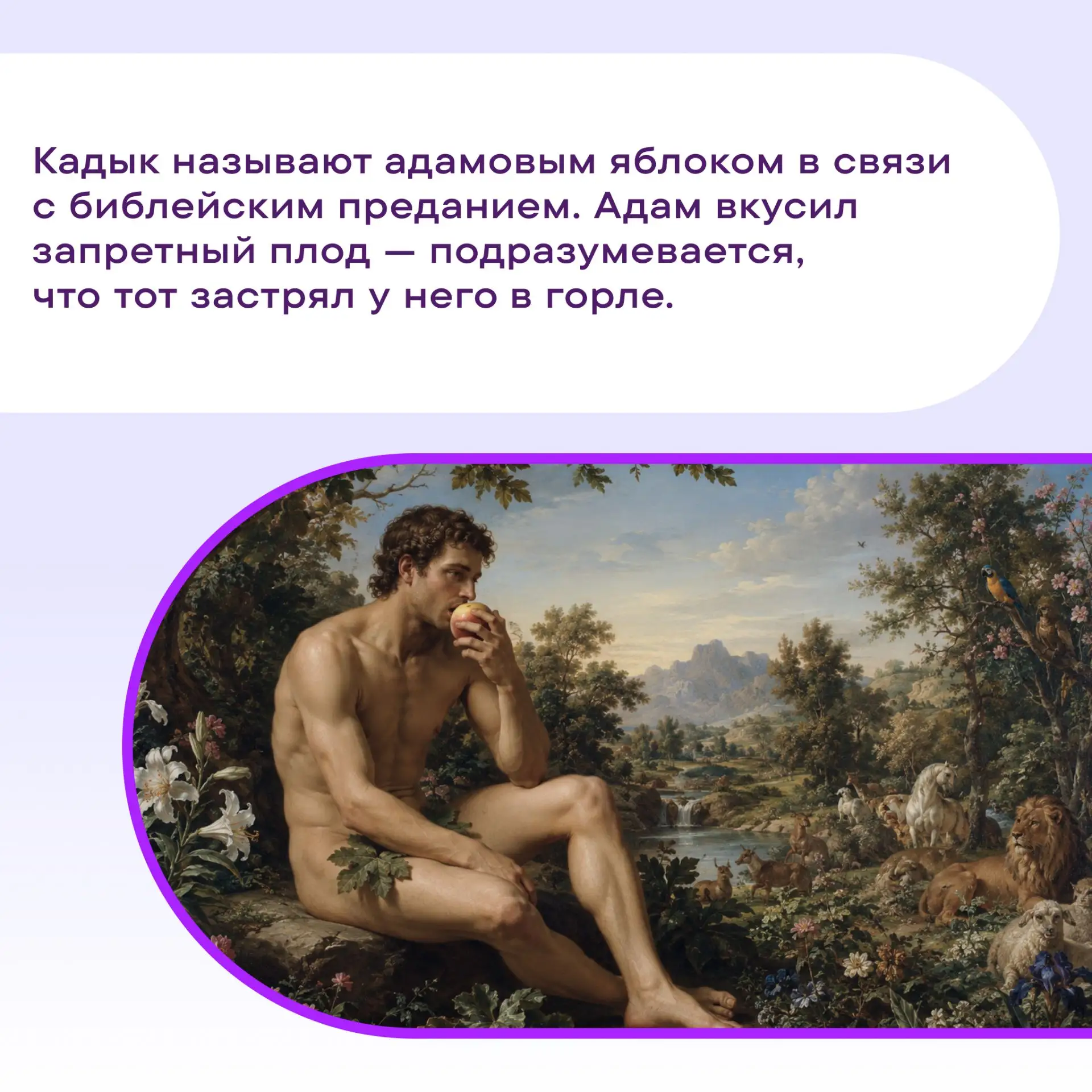 #Просто факты о яблоках. От райского сада до джаз-клубов 1920-х — яблоко 🍎 прокатилось...