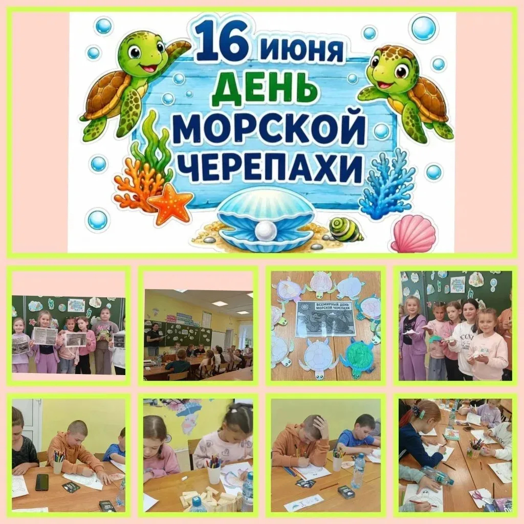 Также в нашем летнем лагере прошел увлекательный и познавательный День морской черепахи, который был