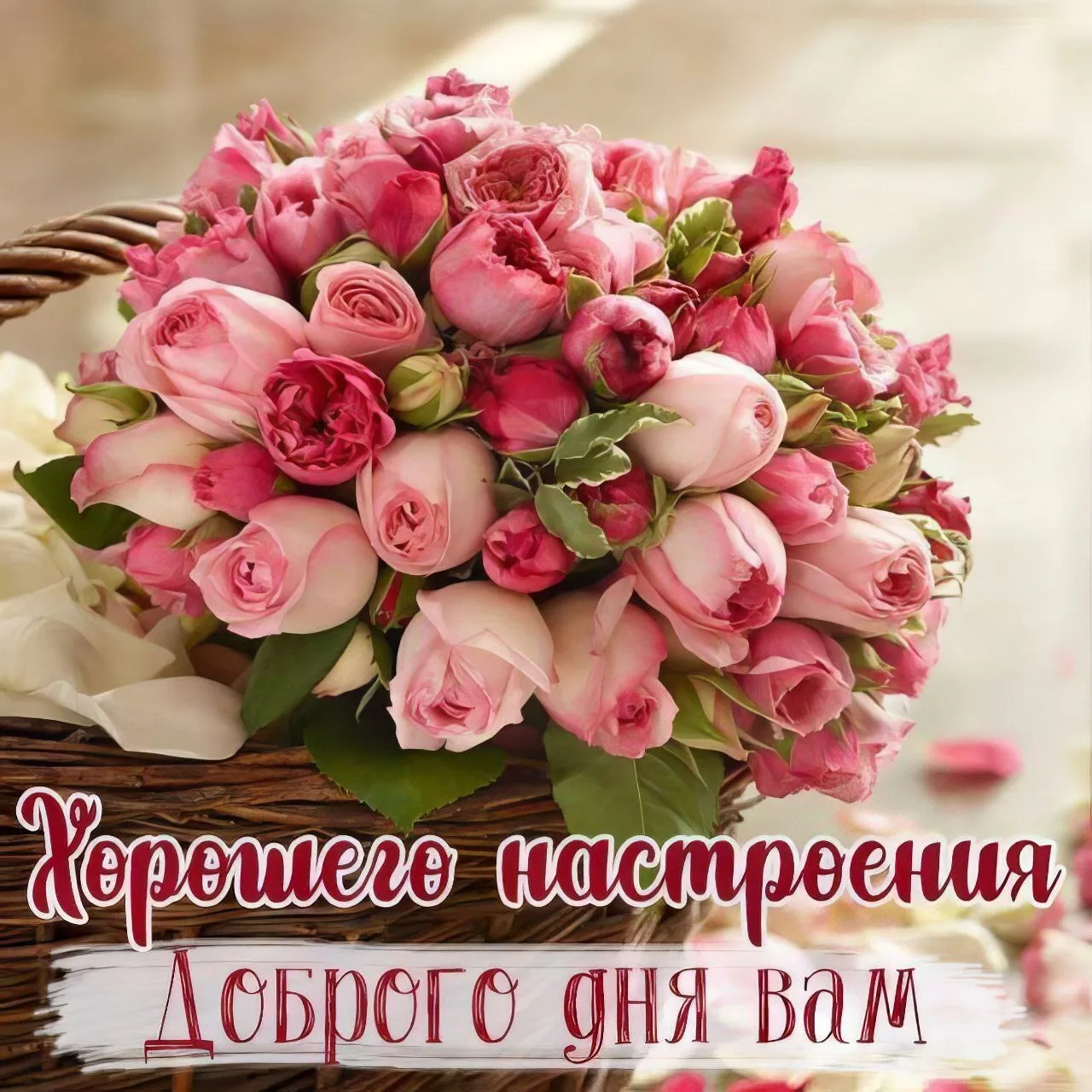 ОТКРЫТКИ