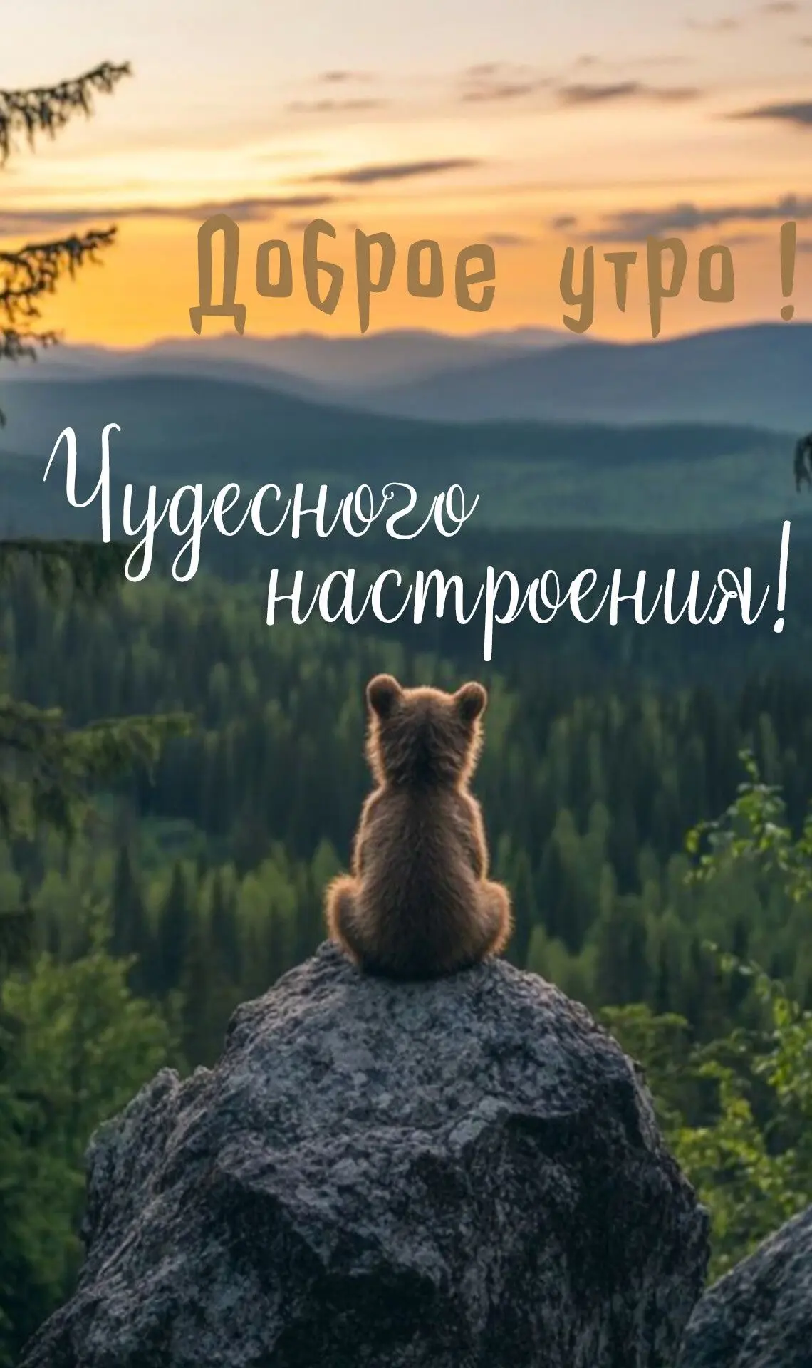 Открытки на каждый день | Подпишись 👇🏻