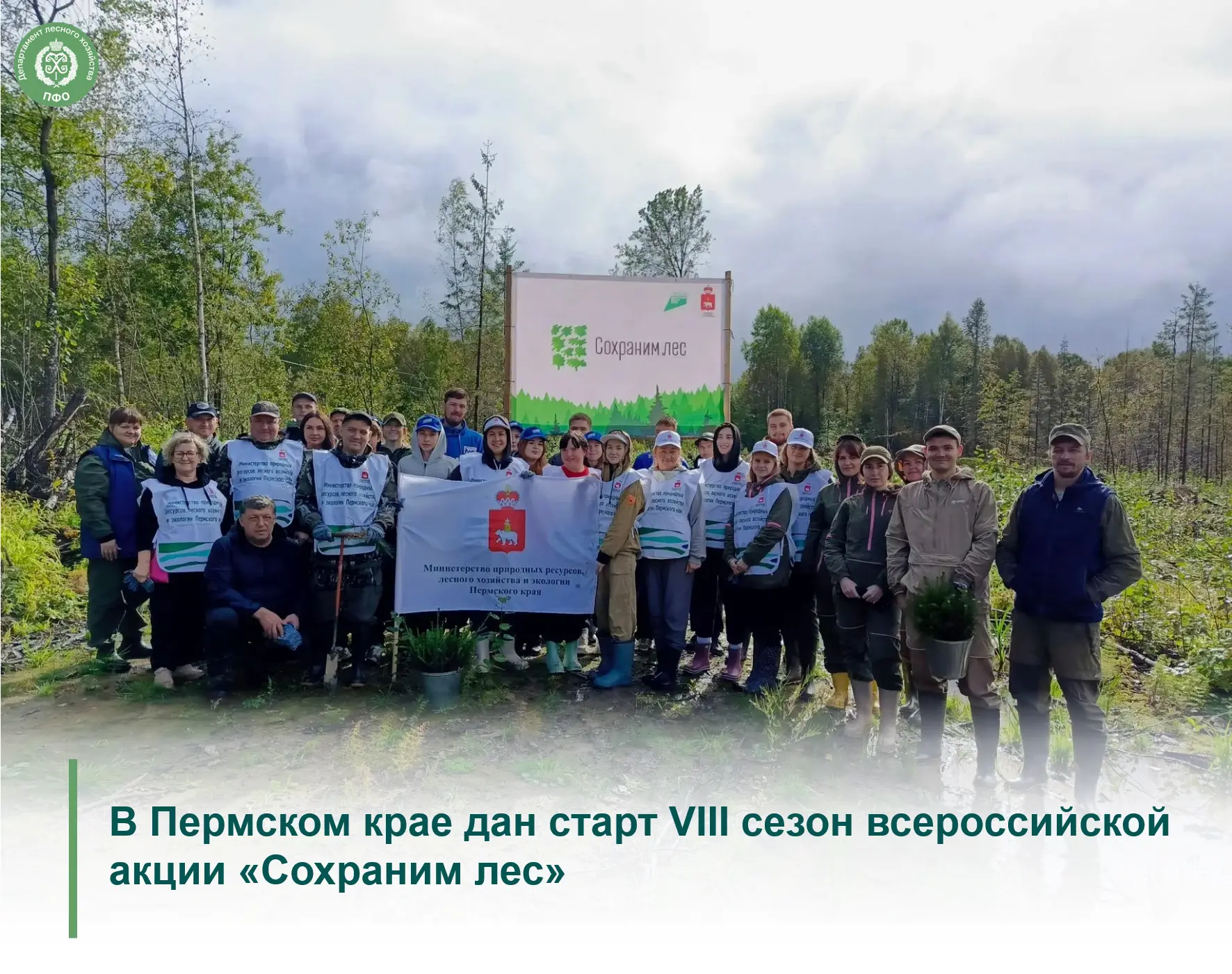 🟢 27 августа на площадке Добрянского лесничества прошла экологическая акция по восстан...