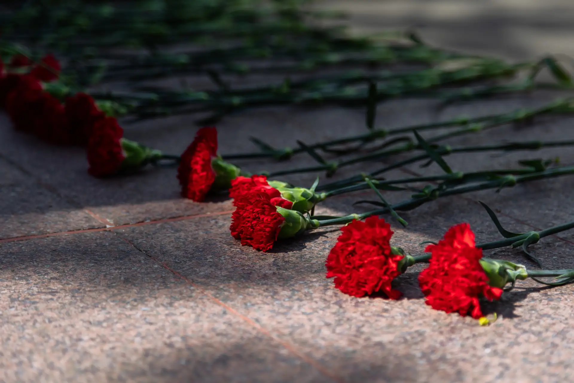 🌹 Акция «Красные гвоздики»: дань памяти героям  7 мая наши ученики, педагоги, администрация школы и 